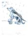 Image013