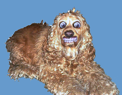 hobbitty2