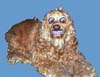 hobbitty2
